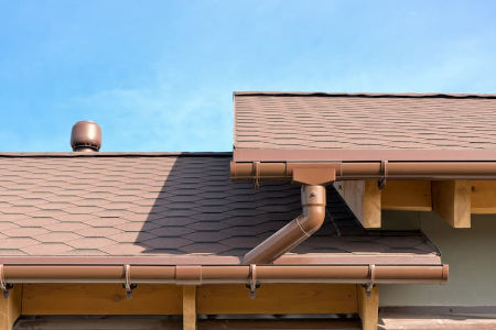 Is it possible for mold and dirt to destroy my roof